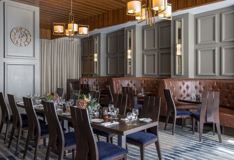 هتل Hilton Dublin