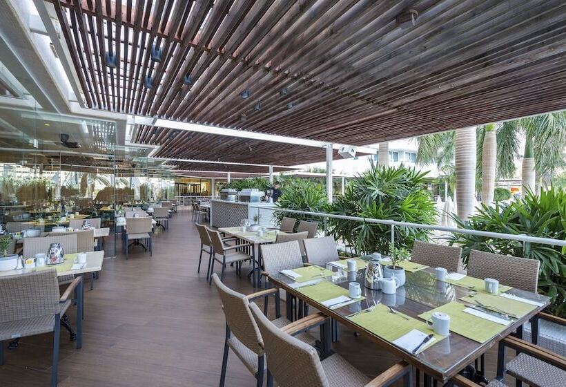 King Solomon By Isrotel Collection