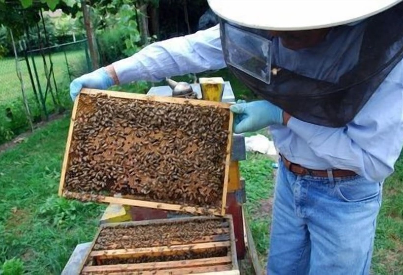 Отель Perryville House