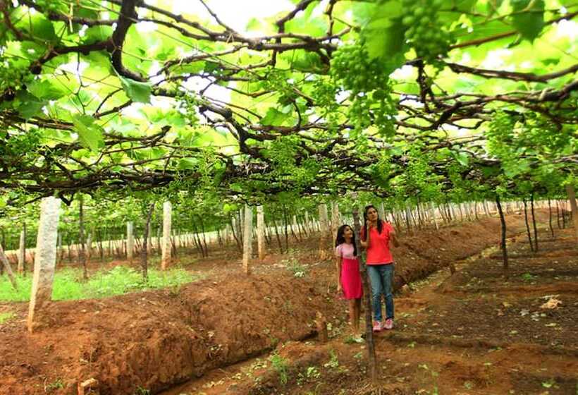 ホテル Harvest Fresh Farms