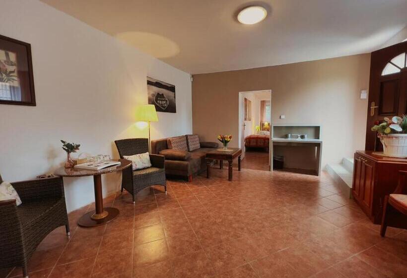 酒店 Penzion Karlštejn