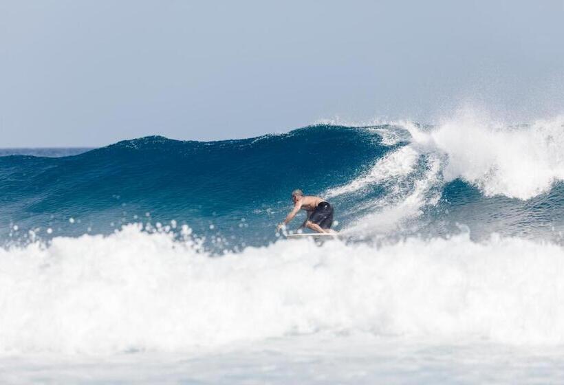 مسافرخانه Surf Deck