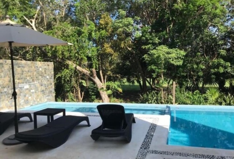 Increíble Estudio En Puerto Aventuras, Condominio Con Alberca # 201