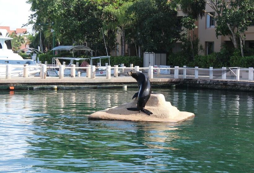 Increíble Estudio En Puerto Aventuras, Condominio Con Alberca # 201