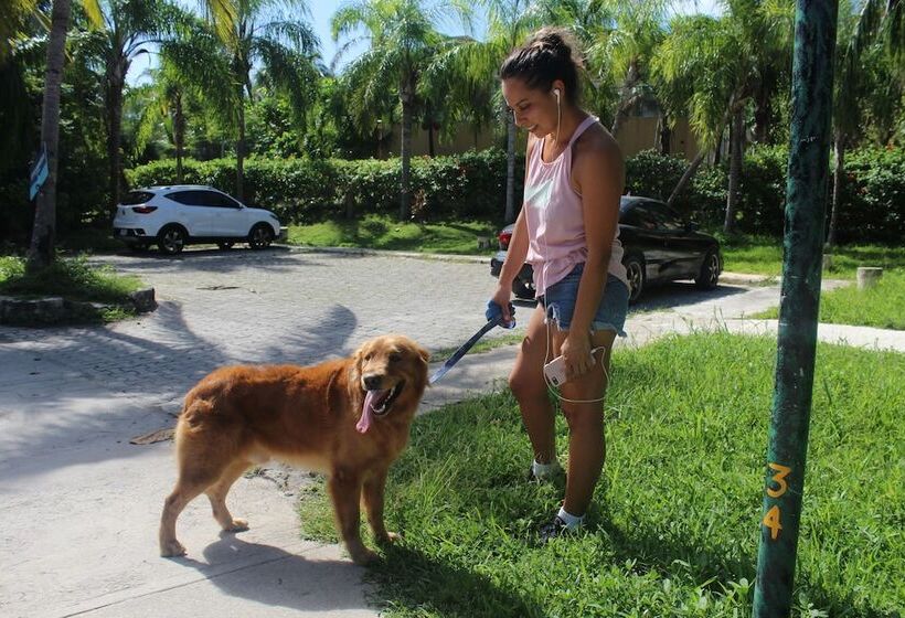 Increíble Estudio En Puerto Aventuras, Condominio Con Alberca # 201