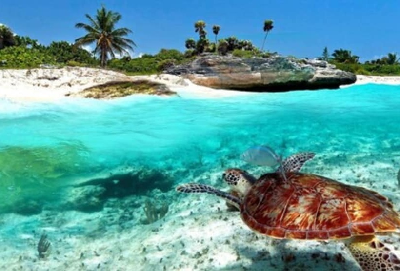 Increíble Estudio En Puerto Aventuras, Condominio Con Alberca # 201