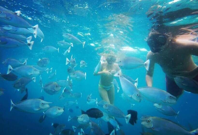 پانسیون Ci  Ritorno View