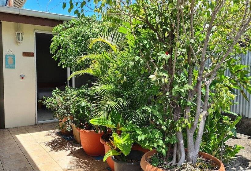 پانسیون City Home Tahiti