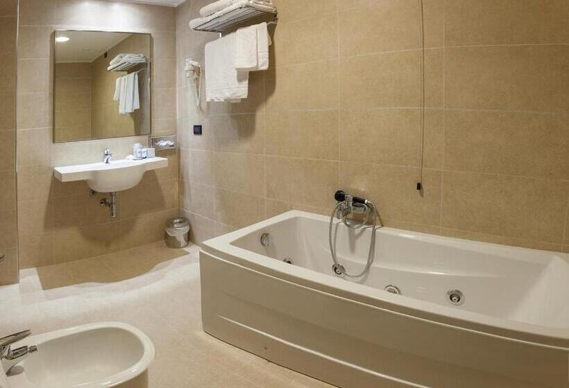 Отель Bv President