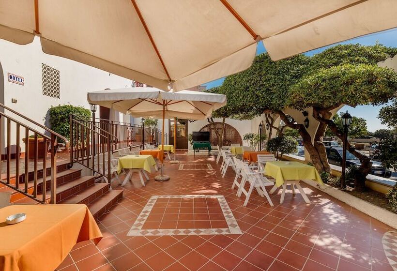 בית מלון כפרי El Balear