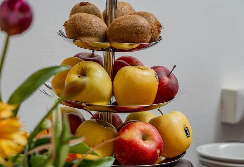 בית מלון כפרי El Balear