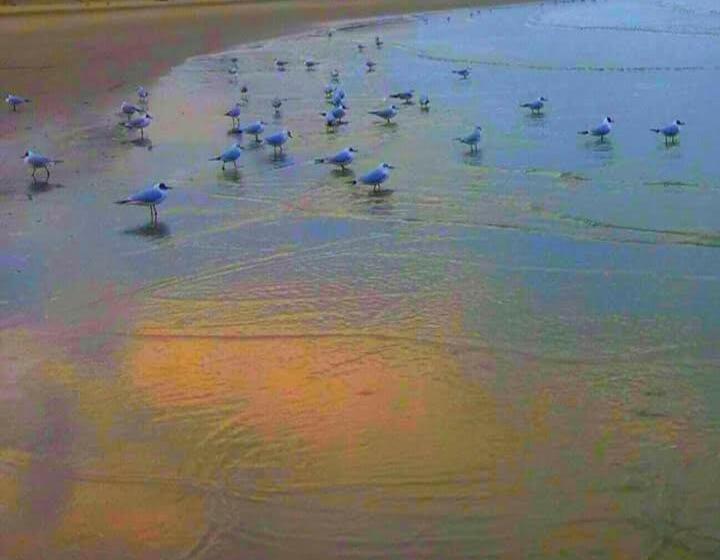 酒店 Gioiella Depandance