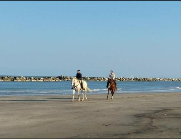 酒店 Gioiella Depandance