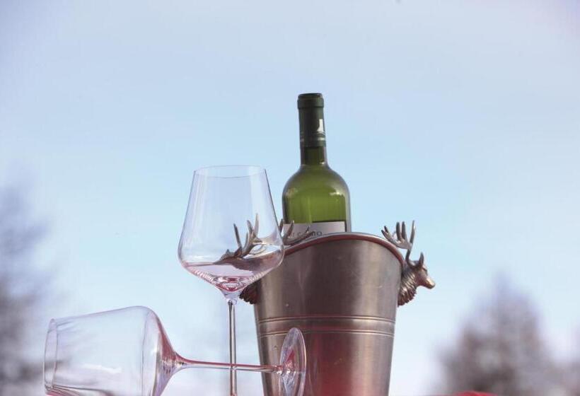 酒店 Kolfuschgerhof Mountain Resort