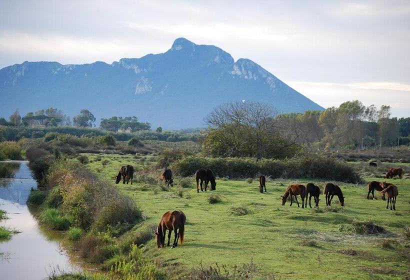 בית מלון כפרי Le Dune