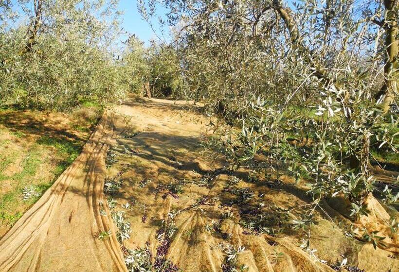 בית מלון כפרי Le Renaie