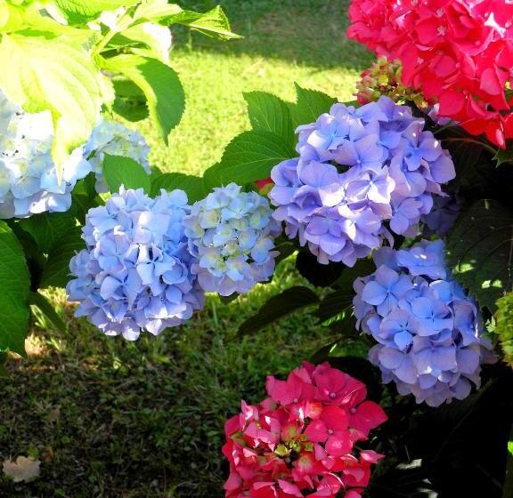 בית מלון כפרי Le Renaie