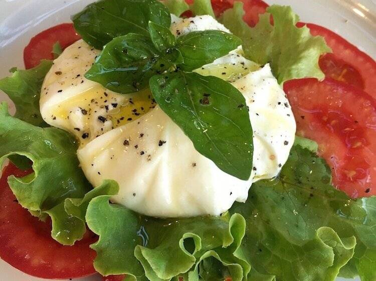 酒店 Saccardi & Spa Adults Only