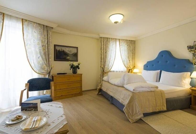 ホテル Sassongher