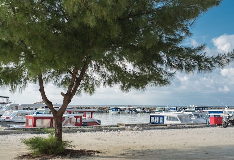 فندق Icom Marina Sea View