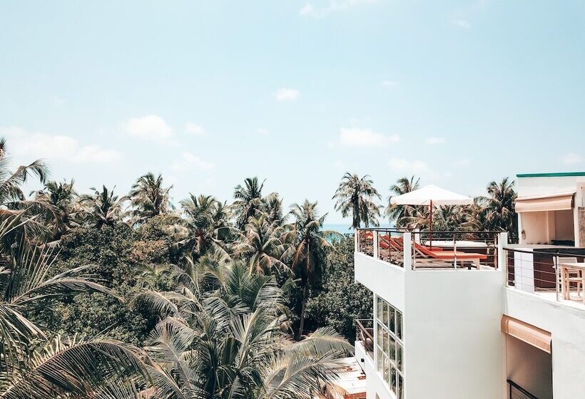 Majatalo Bliss Dhigurah