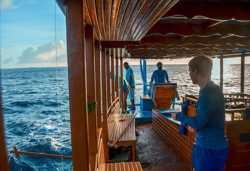 بنسيون Bliss Dhigurah