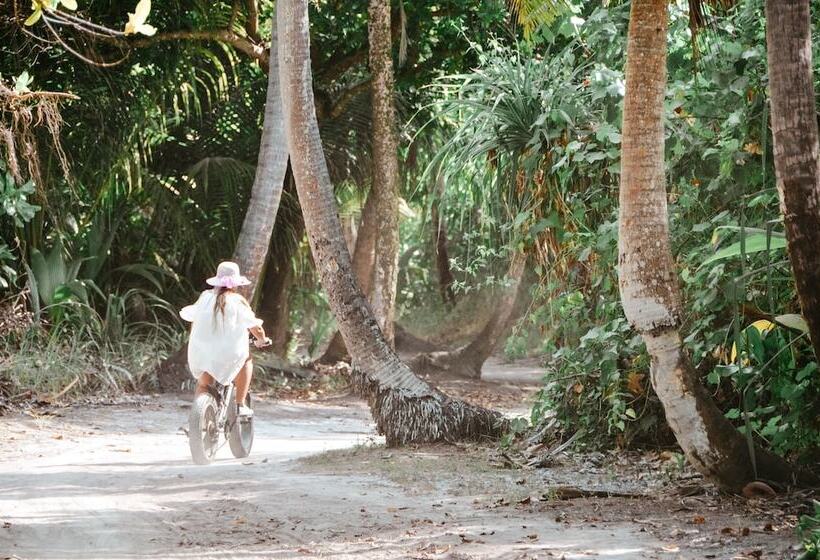 Majatalo Bliss Dhigurah