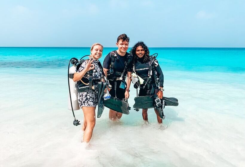 بنسيون Bliss Dhigurah