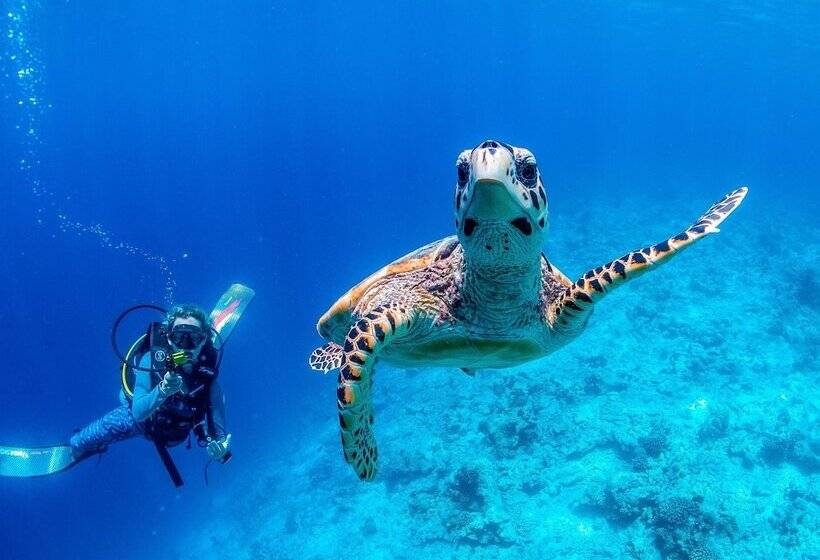 Majatalo Bliss Dhigurah