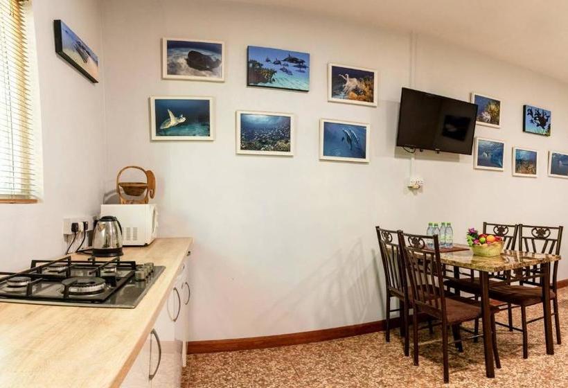 Pensió Dive Villa Thoddoo