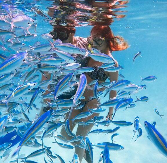 펜션 Shallow Lagoon Rasdhoo