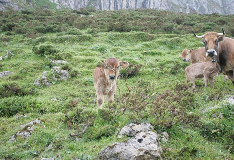فندق La Quintaesencia