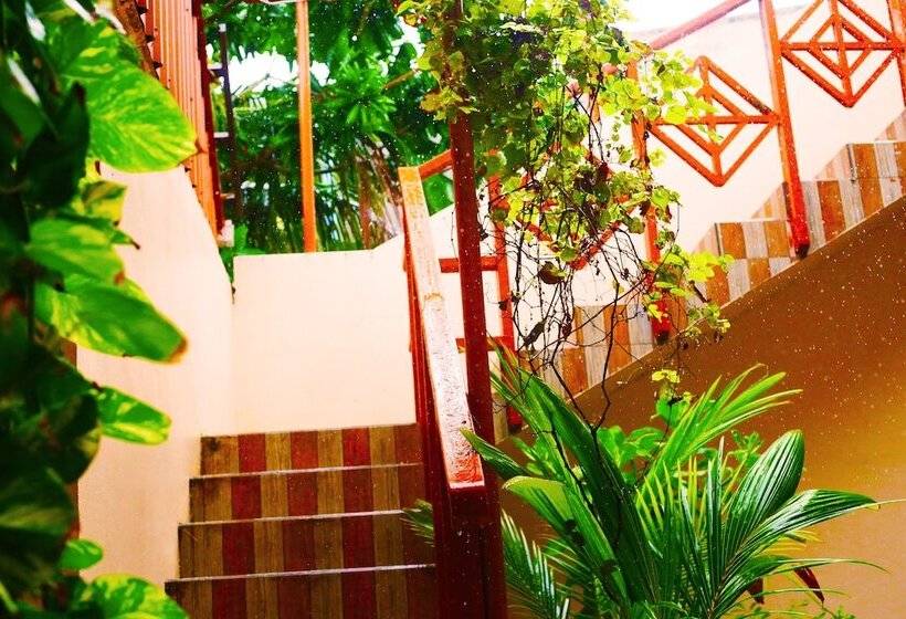 پانسیون Maafushi Village