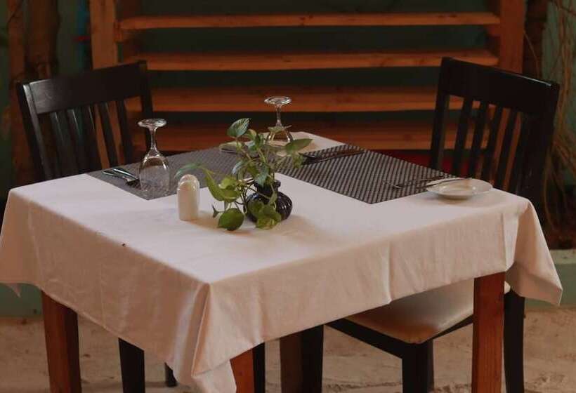 پانسیون Zeestar Inn