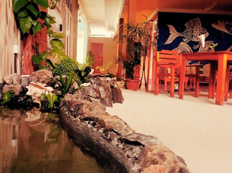 پانسیون Zeestar Inn