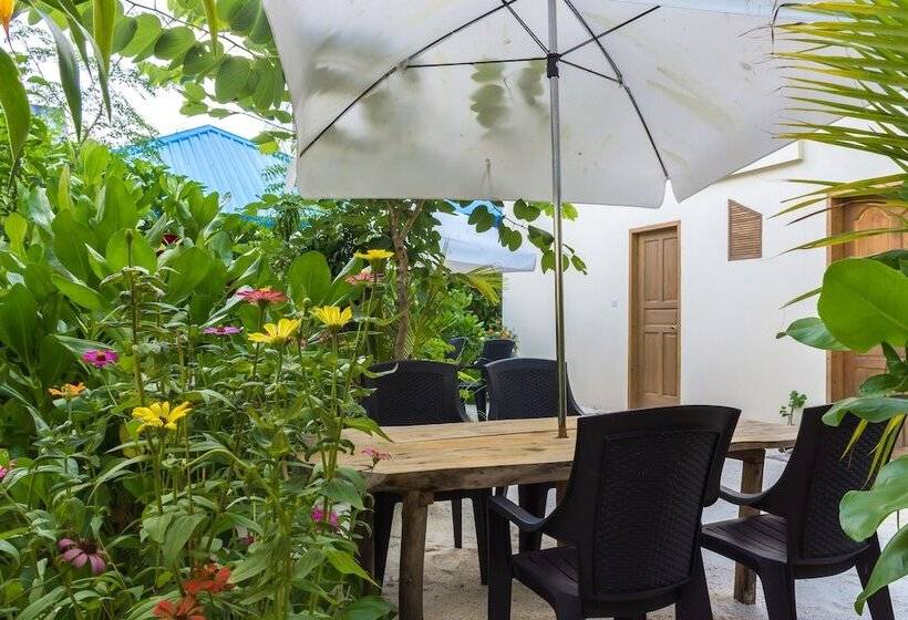 Ukulhas Villa Oceanview Hotel & Spa