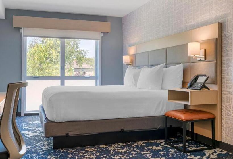 酒店 Aiden By Best Western Berkeley