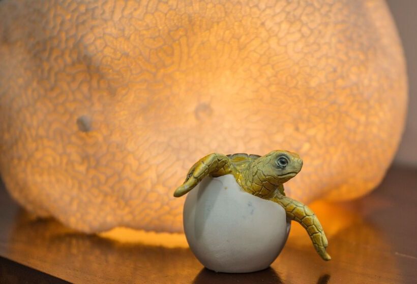 בית מלון כפרי Airlie Guest House