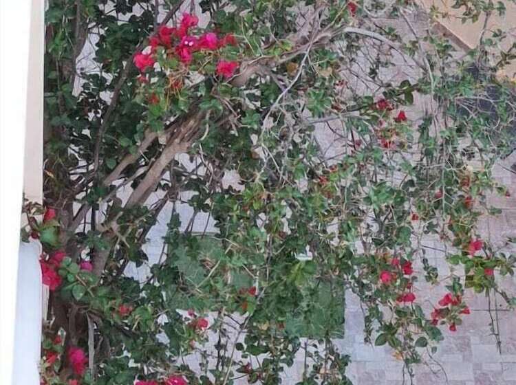 בית מלון כפרי Dioni