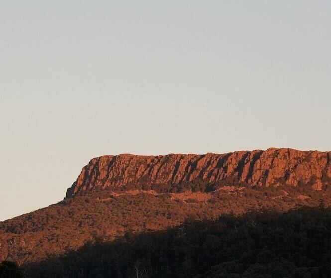 فندق Forest Walks Lodge