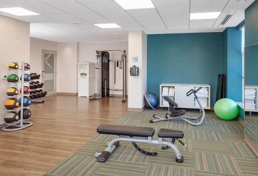 酒店 Holiday Inn Express & Suites Downtown Ottawa East, An Ihg