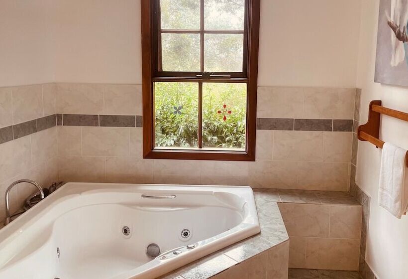 בית מלון כפרי Tilba Lake House