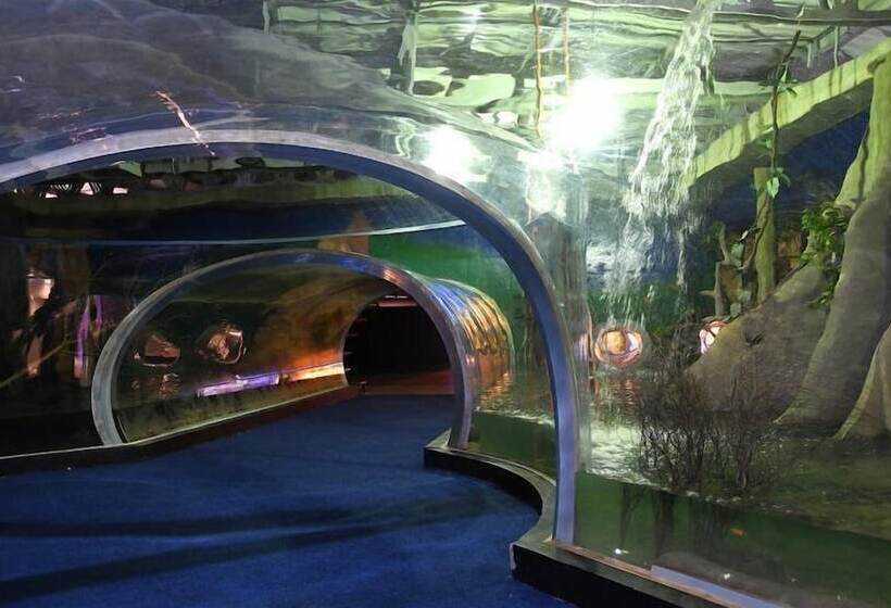 ホテル Carandá Hplus Express