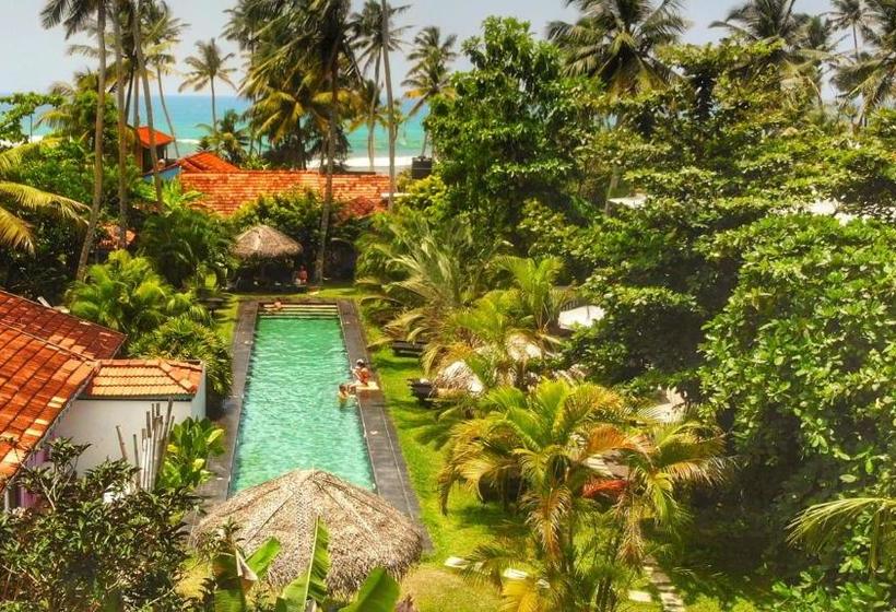 ホテル Turtle Eco Beach