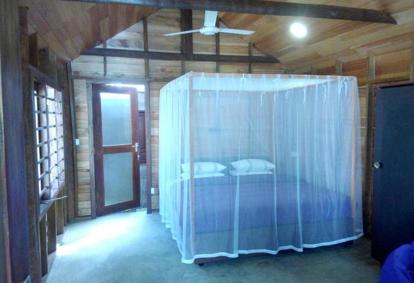 ホテル Turtle Eco Beach