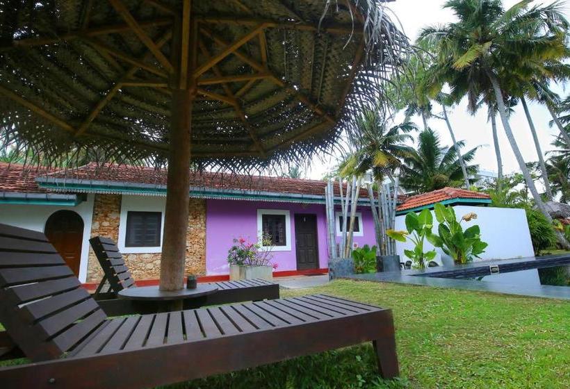 ホテル Turtle Eco Beach