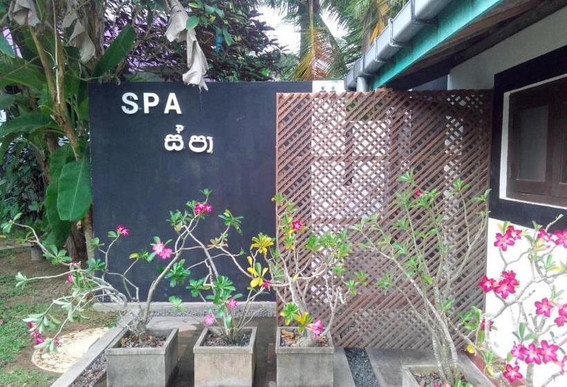 ホテル Turtle Eco Beach