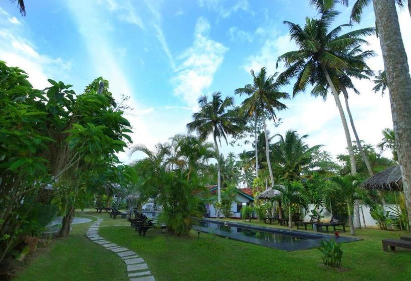 ホテル Turtle Eco Beach