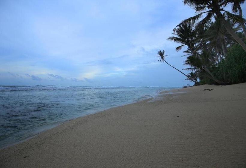 ホテル Turtle Eco Beach