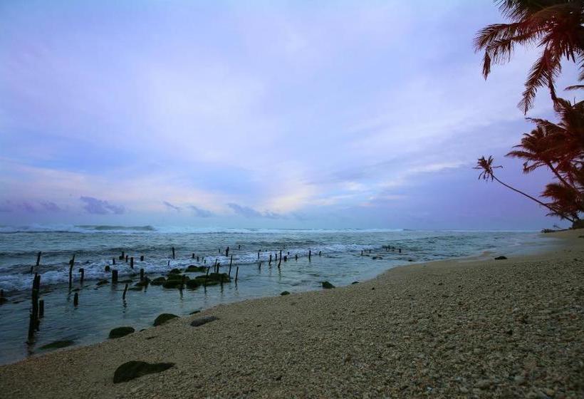 ホテル Turtle Eco Beach